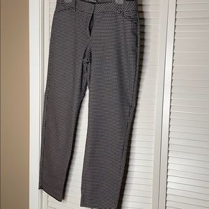 Express Editor Pants